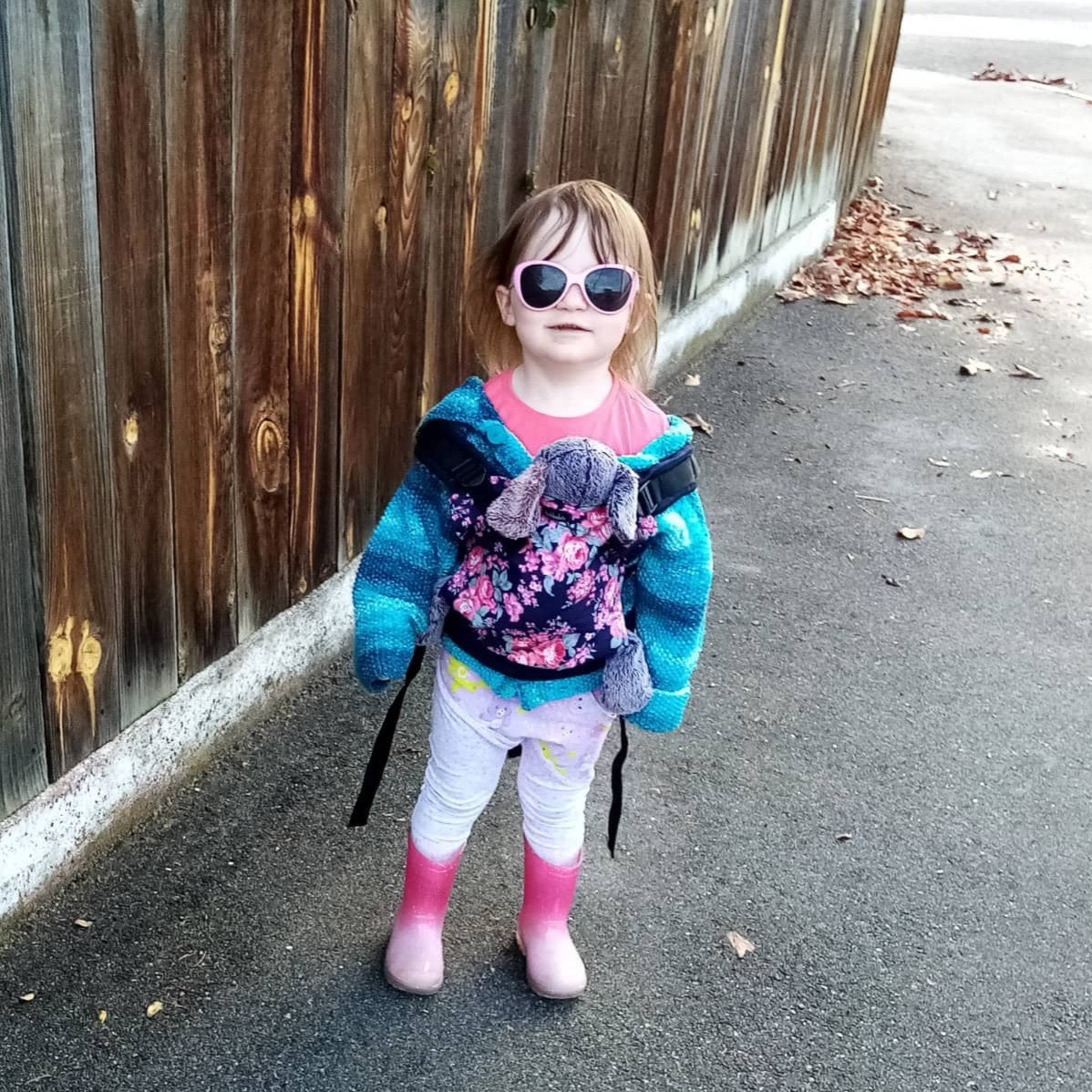 Doll Carrier - CUSTOM MADE